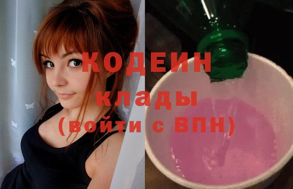 твердый Магас