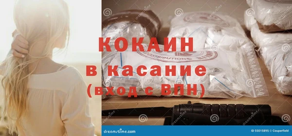 твердый Магас