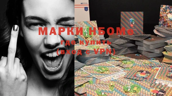 твердый Магас