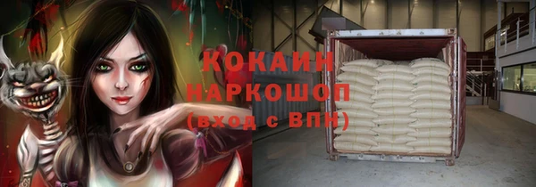 твердый Магас