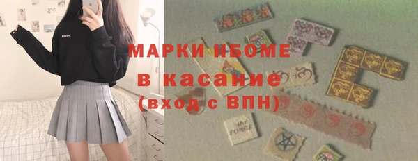 твердый Магас