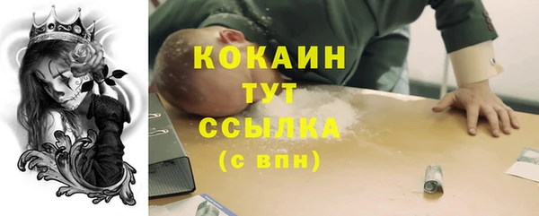 твердый Магас