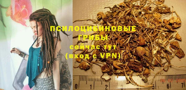 мескалин Елабуга