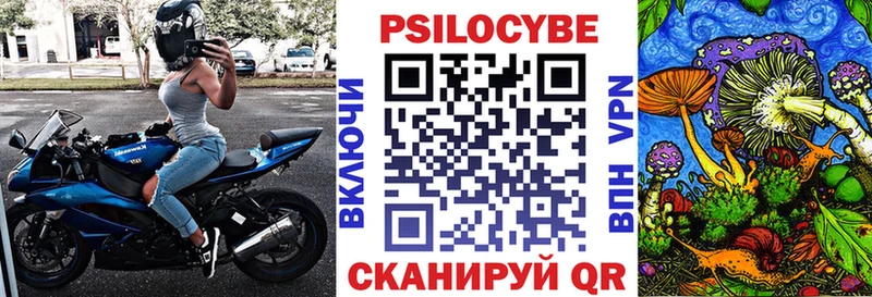 где купить   Жигулёвск  Галлюциногенные грибы Psilocybe 