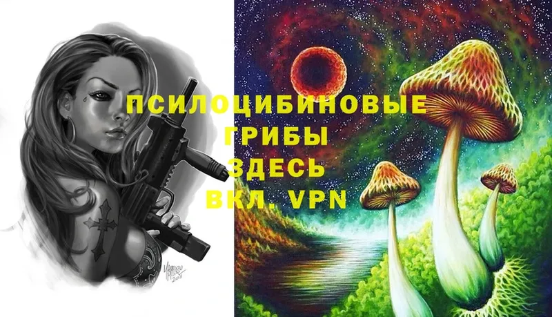 как найти наркотики  Жигулёвск  Галлюциногенные грибы Cubensis 